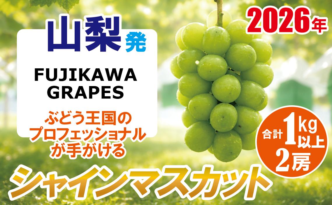
                  《秀品以上》上級品をお得に　【シャインマスカット】　1.0kg以上（２房）　【2026年発送分 先行予約】- FUJIKAWA GRAPES -
                
