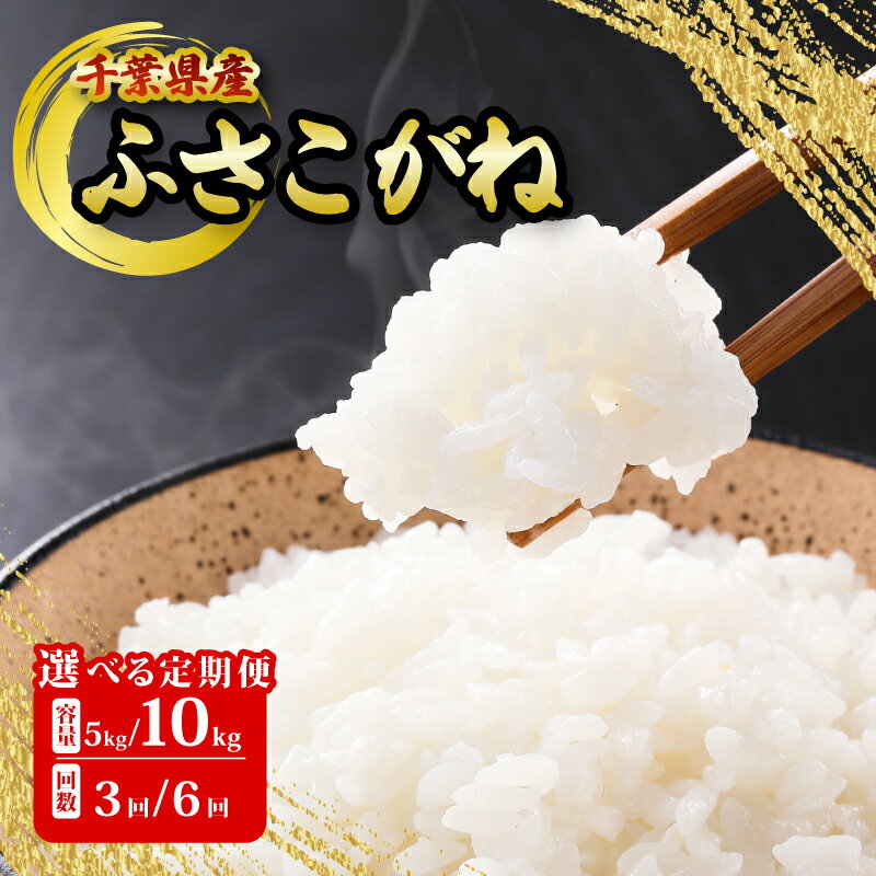【ふるさと納税】 ふさこがね 5kg / 10kg 定期便 米 白米 お米 おこめ ご飯 ごはん 国産 千葉県 銚子市 根本商店 お弁当 おにぎり 朝食 昼食 夕食 お取り寄せ グルメ 食品 災害 防災 ギフト 贈り物 贈答 プレゼント 送料無料 宅配 和食 保存 備蓄 もちもち あまみ 甘み