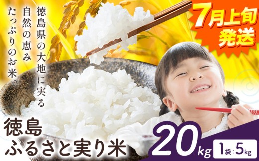 【7月上旬発送】もちもち美味しい！ 徳島ふるさと実り米 精米 20kg お米 米  国産 ブレンド米 白米 精米 徳島県 上板町