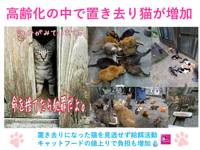 【返礼品なし】猫愛護活動支援 NFN640 【200PT】// 特定非営利活動法人　種子島 島neco会