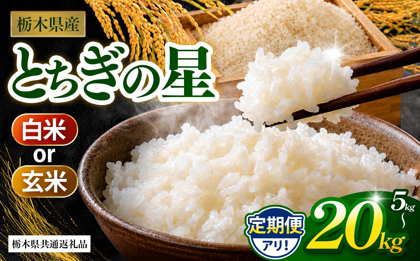 
                  【先行予約】【栃木県共通返礼品】とちぎの星 白米 選べる 内容量 約 5kg ~ 約 20kg ｜とちぎの星 米 白米 おいしい お米 こめ おこめ 白米 精米 国産 ごはん ご飯 白飯 米 おこめ 白米 精米ゴハン ランキング 人気  ふるさと 納税 栃木県 那珂川町 送料無料
                