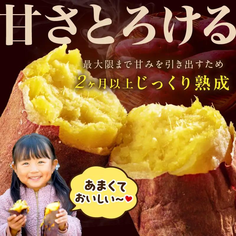 日本一の京都産「紅はるか」5kg（サツマイモ　野菜　スイーツ　お菓子　焼き芋　さつまいも）