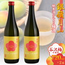 【ふるさと納税】銀嶺月山 純米酒仕込みの梅酒（720ml×2本セット）／ お取り寄せ リキュール お酒 地酒 日本酒 女子会 飲み会 ストレート ロック ソーダ割り 炭酸割り お湯割り カクテル 支援 応援 晩酌 美味しい 果実酒 アルコール 土産 貴重 国産 東北 山形 国産 月山酒造