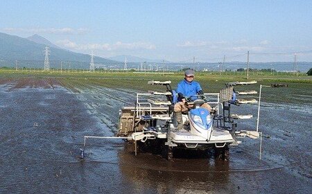 3-O　【6ヶ月定期便】コシヒカリ 白米 会津 10kg 6回 計60kg 令和7年産米 ｜ 減農薬 特別栽培米 米 お米 藤川農産 ※2025年10月上旬頃より順次発送予定