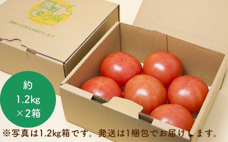 熊野薬草園の大玉トマト（1.4㎏×2箱） トマト 大玉トマト 熊野