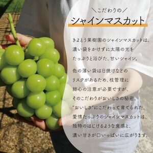 【きよとうファーム】大粒で大房のシャインマスカット 大サイズ3房入 各700g～(岡山県産)【配送不可地域：離島】【1551274】