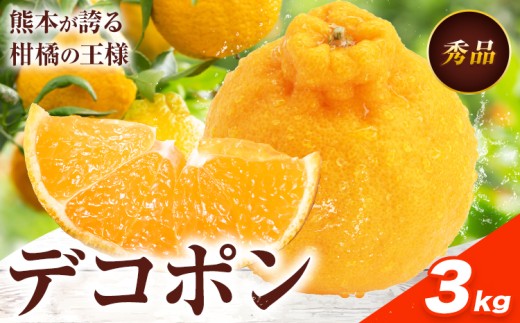 デコポン 約3kg 日本フルーツ株式会社 熊本県 荒尾市 《12月中旬-4月上旬出荷予定》 デコポン 果物 秀品 フルーツ スイーツ デザート ギフト ご贈答