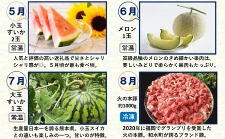 【 定期便 12回 】支援 企画 ！ くまもと 生産 農家 応援 定期便 ！ 肉 野菜 フルーツ