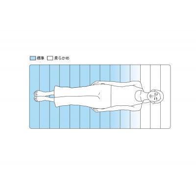 ふるさと納税 大府市  【大府市産お米2kg付】エアウィーヴ スマート02 ダブル マットレスパッド エアウィーブ |  | 02