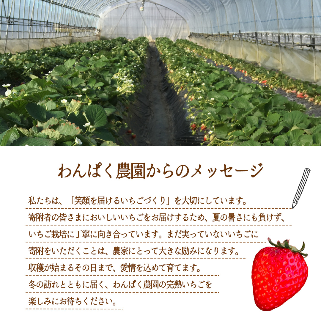 【2027年1月発送】 とちおとめ 約1120g （280g × 4パック）(BT002)