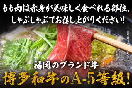 博多和牛 A-5等級 ももしゃぶしゃぶ用 500g 牛肉 和牛 福岡ブランド牛 赤身 肉 しゃぶしゃぶ お肉 ビーフ A5ランク ギフト 贈り物 食品 鍋 もも肉