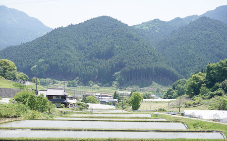 曽爾村地域旅行券 ～3,000円分～ めぐみ感じる曽爾村 NARA SONI VILLAGE 地域旅行券 / 旅行 関西 近畿 奈良 曽爾 曽爾高原 アウトドア 旅 体験 宿泊 宿泊券 旅行券 イベン