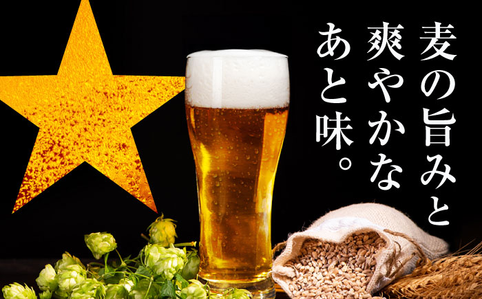 【全5回定期便】サッポロ生ビール 黒ラベル 500ml×24缶　合計120缶 日田市 / 株式会社綾部商店 [ARDC079]