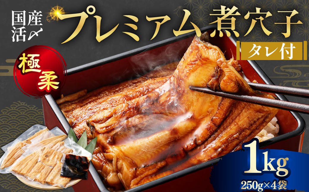 
                  飯田商店 国産活〆 プレミアム 煮穴子 1kg（ 250g×4袋 ） タレ（50g）付 魚介 魚介類 鮮魚 海鮮 魚 お魚 煮込み あなご 穴子 煮穴子 おかず 惣菜 
                