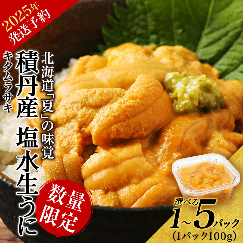 【ふるさと納税】≪2025年夏発送分≫ 数量限定！積丹産 塩水生うに 選べる1パック～5パック 1パック100g【三上商店】北海道ふるさと納税 積丹町 ふるさと納税 むらさきうに 塩水 ムラサキウニ 生うに 北海道 うに 雲丹 通販 ギフト ウニ 贈答品 贈り物 うに 2025年