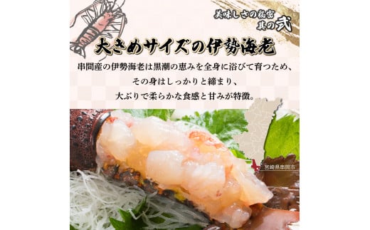 HRISI-80 【先行予約】＜数量限定＞宮崎県串間産伊勢エビ（約800g）【合同会社Houryoumaru】