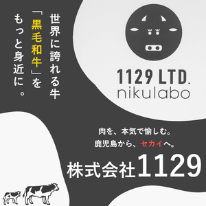 鹿児島県産黒毛和牛厚切りサーロイン(600g) タレ 調味料付き！黒毛和牛 和牛 赤身【1129】B153