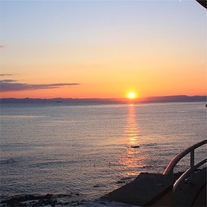 まるは食堂旅館 南知多豊浜本店　まるは食堂お勧めの活造りコース付 ペア御宿泊券(1泊2食付)【1104870】