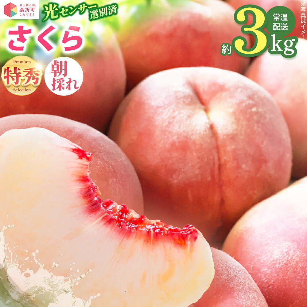 【ふるさと納税】もも【さくら・2026年産】特秀3kg（8〜11玉）桑折町振興公社 桃 ／ もも モモ 果物 桃 さくら桃 白桃 フルーツ 大容量 3kg 特秀品 高品質 果汁たっぷり やわらかい 甘い果物 家庭用 贈答用 夏フルーツ 季節限定 お取り寄せフルーツ 新鮮 【07301-0187】