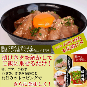 漬け丼 3種×2パック 計6食セット 冷凍 真空パック 小分け 海鮮丼 海鮮セット 詰め合わせ 海鮮 漬け丼 旬の鮮魚  ( 海鮮漬け丼 海鮮丼 宇部漬け丼 海鮮丼 漬け丼 旬の鮮魚漬け丼 マグロ漬け