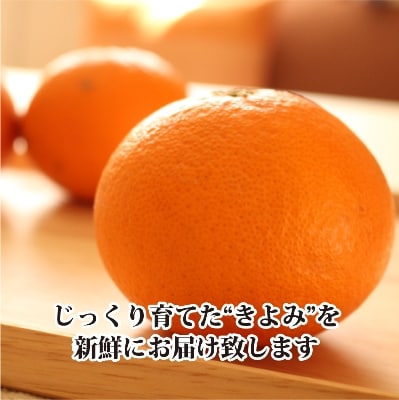 2026年3月出荷開始　完熟・果汁たっぷり!!「きよみ」約5kg　【C39−34】【1262235】