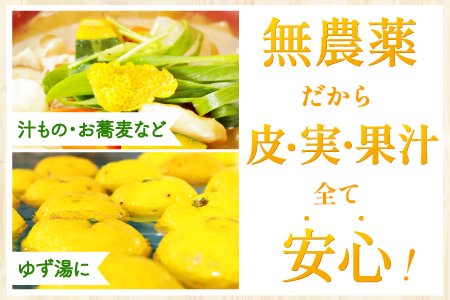 A-78 【有機JAS認定】無農薬ゆず玉　5kg