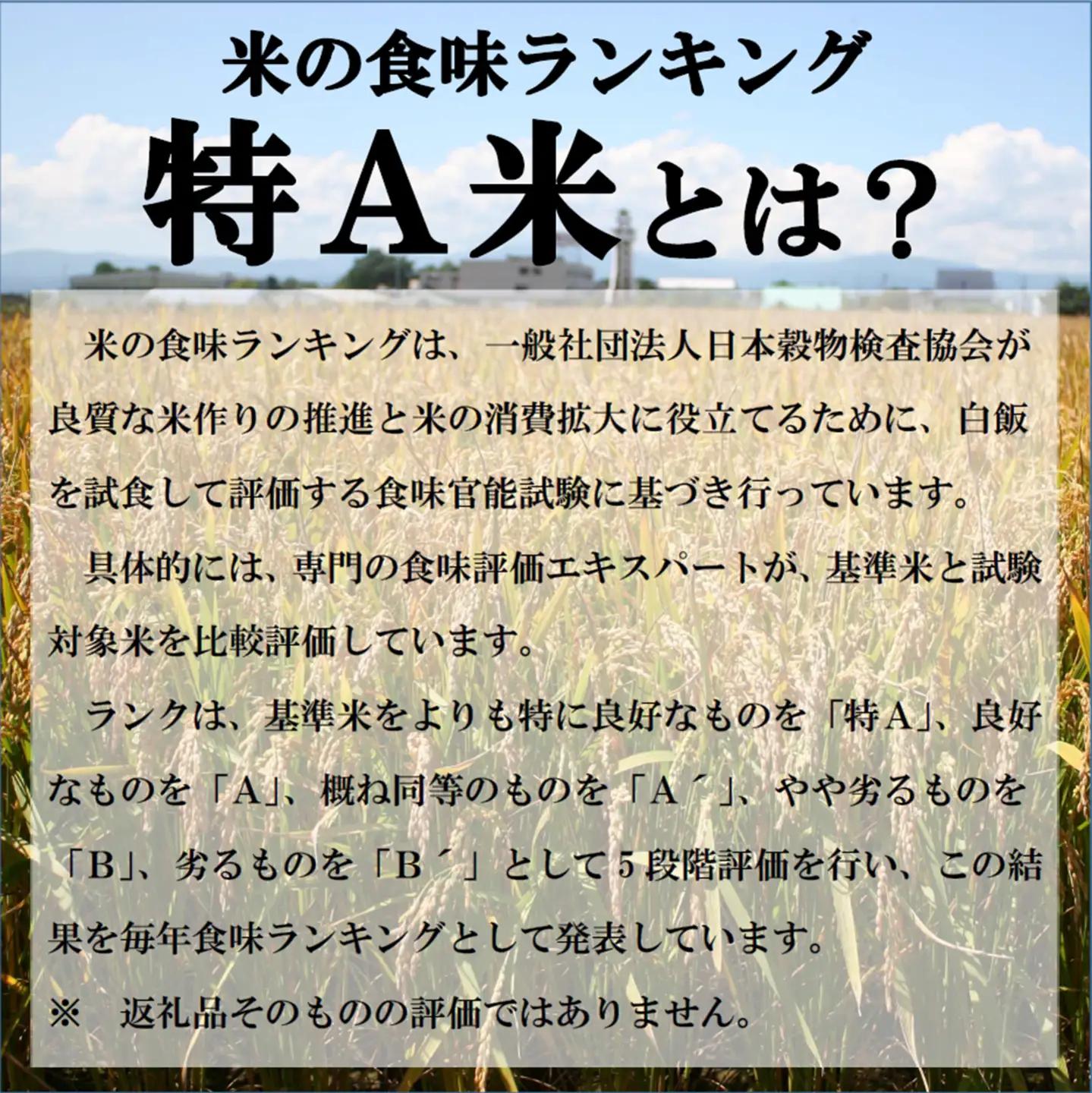 【新米予約受付中】令和8年産ななつぼし(10㎏)【R8SB1】