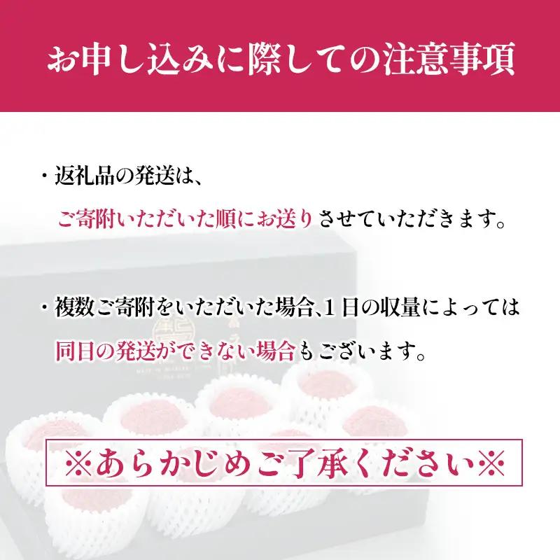 ［2027年発送］先行予約 希少！国産＜新富ライチpremium50＞50g以上×8玉 国産 ブランド フルーツ 果物 贈答品【C52-27】