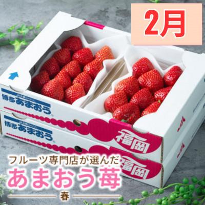 ふるさと納税 宇美町 【発送月固定定期便】旬の福岡フルーツ定期便　とよみつひめ・甘うぃ・春あまおう(宇美町)全3回 |  | 01