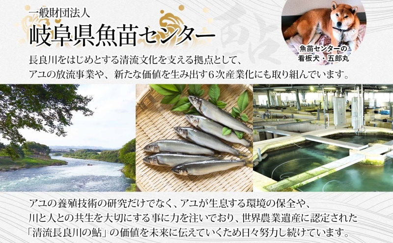 鮎拉麺・鮎ぞうすいセット 鮎 あゆ アユ ラーメン ぞうすい 雑炊 しまだ麺 麺 ご当地 グルメ お取り寄せ 和食 甘露煮 美濃ハツシモ 魚粉 旨味 魚 料理 簡単 一般財団法人岐阜県魚苗センター 岐