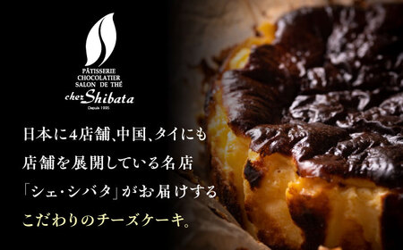 チーズケーキ ミキュイフロマージュ 多治見市 / シェ・シバタ 濃厚 スイーツ ギフト[TDH006]