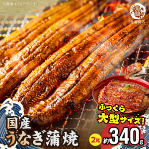 大型サイズ ふっくら柔らか 国産うなぎ 蒲焼き 2尾 (約4人前) 化粧箱入_G7005
