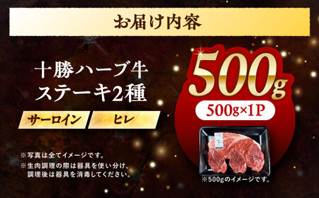 北海道 十勝 ハーブ牛 サーロイン ヒレ ステーキ セット 500g 《足寄町》【株式会社ノベルズ食品】[BEAQ055]