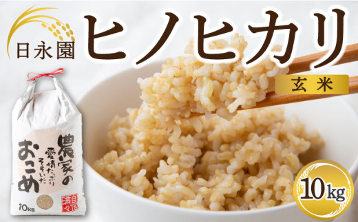 日永園 ヒノヒカリ 玄米10kg 【2025年11月下旬より発送予定】 米 お米 ご飯  うきは市