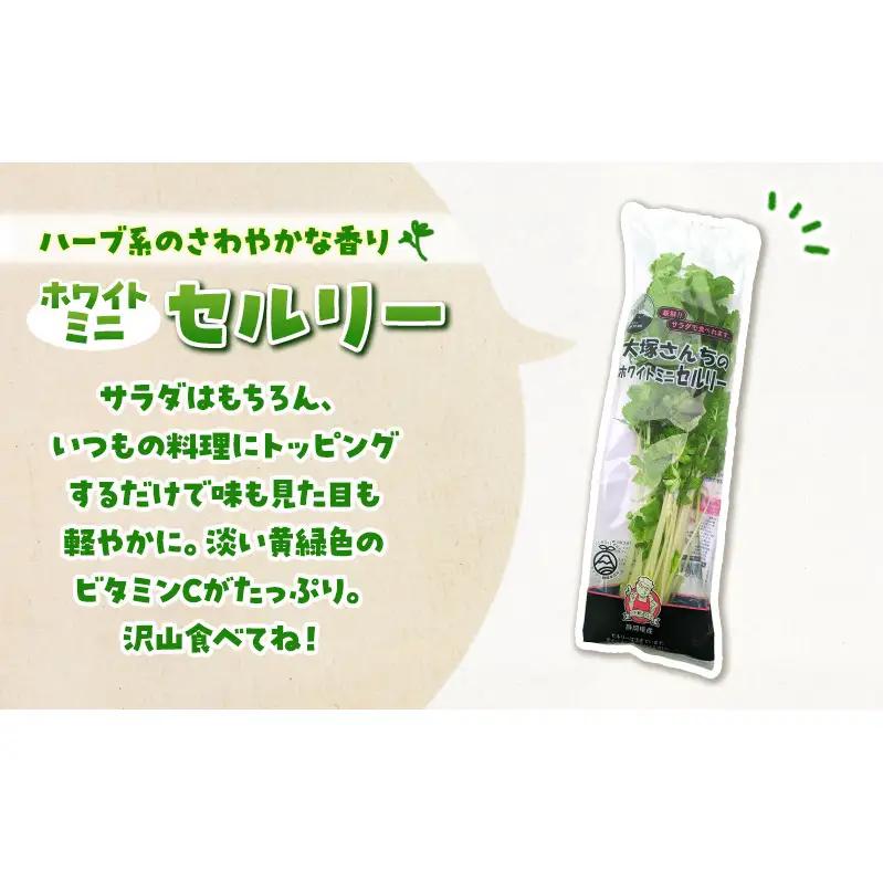 ホワイトミニセルリー 14袋 ＆ サラダほうれん草 10袋 計24袋セット 野菜 詰め合わせ セロリ ミニセロリ ほうれんそう 新鮮 産地直送 野菜セット 食べ比べ 詰合せ 大容量 業務用 まとめ買い
