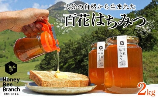 
                  由布市産 「おおいた百花はちみつ」2kg（１kg入瓶×2本） | はちみつ 国産はちみつ 百花はちみつ 純粋はちみつ 天然はちみつ 蜂蜜 大分県産 由布市産 蜜 1kg 2kg 大容量 無添加 ナチュラル 健康食品 甘味料 ヨーグルト トースト 料理用 お取り寄せ 人気 おすすめ 大分県 由布市
                