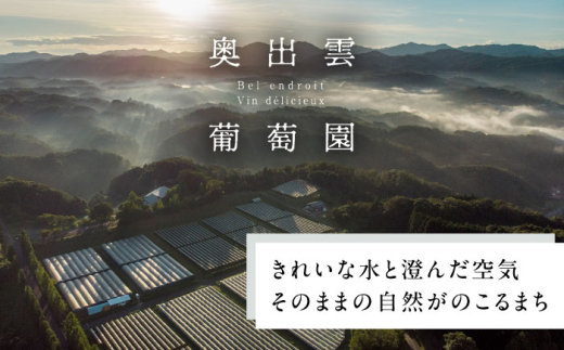 お食事券 奥出雲葡萄園 庭カフェお食事券3,000円 チケット 食事券 3000円分 3千円 チケット  利用券 レストラン カフェ ランチ ディナー スイーツ デザート ワイナリー ワイン 雲南市 