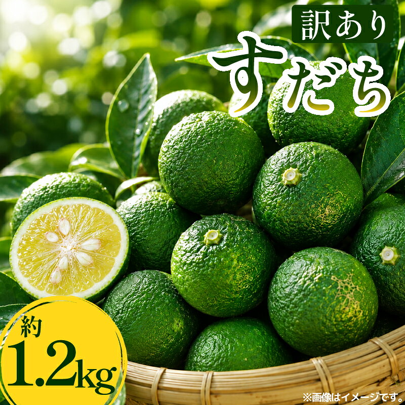 【ふるさと納税】 訳あり すだち 1.2kg 家庭用 《 2026年8月下旬から順次発送 》 スダチ 旬 果実 果汁 みかん 柑橘 フルーツ 酸味 すっぱい 徳島 人気 オススメ お取り寄せ グルメ ハイボール 焼酎 ビール からあげ さんま 刺身 魚 天ぷら 送料無料 徳島県 阿波市