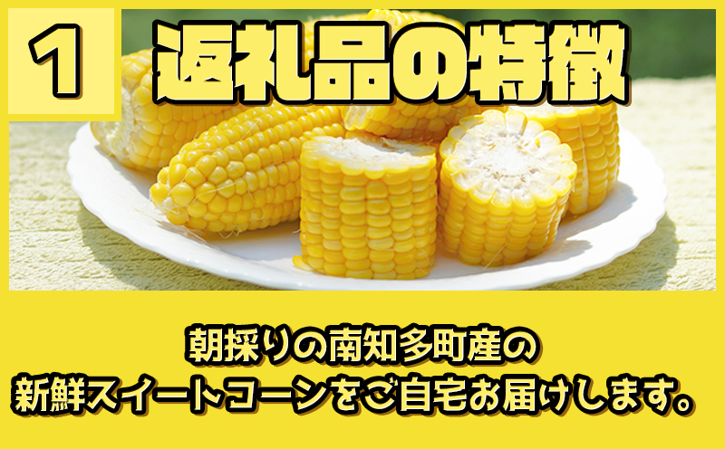 【先行予約 6月下旬から出荷】 スイートコーン 約5kg 10～14本 冷蔵 国産 とうもろこし 先行予約 数量限定 コーン 野菜 新鮮 焼き 蒸し 産地 直送 甘い 甘口 子ども 子供 小分け 種子