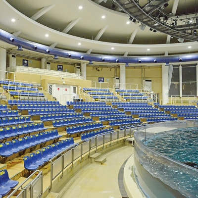 アクアワールド茨城県大洗水族館　貸切1時間プラン(オーシャンホールにイルカが遊びに来る)【配送不可地域：離島・沖縄県】