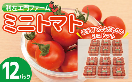 泉州産 新鮮ミニトマト 12パック 約2kg