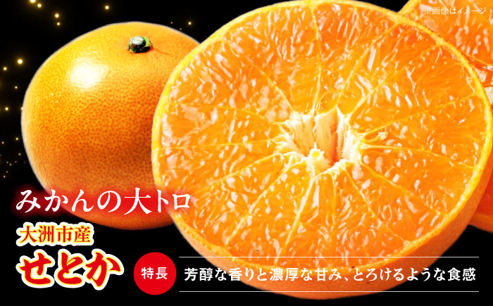 【先行予約】【2月上旬より順次発送】 訳あり せとか 2.5kg （Lから4Lサイズ混合） 愛媛県大洲市/有限会社西山青果 みかん フルーツ 果物 セトカ 訳あり [AGAR012]