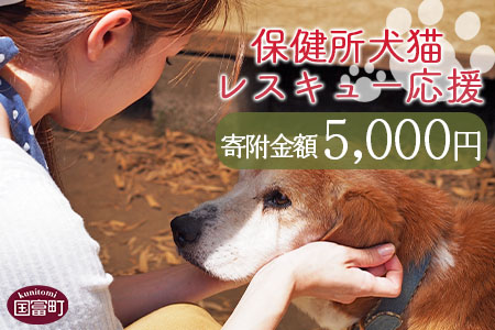 ＜保健所犬猫レスキュー【返礼品なしのご寄附】＞寄付金額5,000円※お礼状をお送りいたします。【 動物愛護 保護 犬 猫 いぬ ねこ イヌ ネコ 動物 どうぶつ ペット 応援 支援 寄付 使い道 】