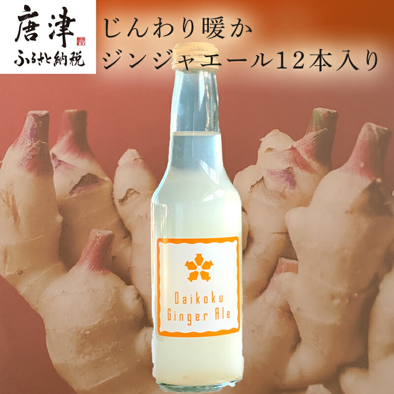 【ふるさと納税】生姜濃縮 ジンジャエール 250ml×12本 生姜の味がギューッと1本に濃縮 「2025年 令和7年」