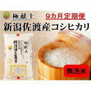 【ふるさと納税】無洗米5kg 新潟県佐渡産コシヒカリ5kg×9回「9カ月定期便」 | お米 こめ 白米 食品 人気 おすすめ 送料無料