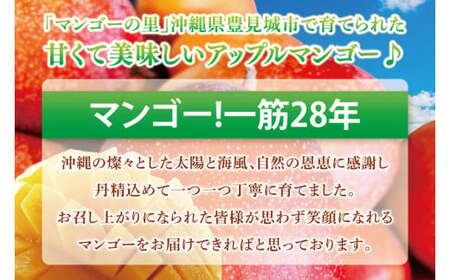 【2026年6月下旬より順次発送】マンゴーの里！豊見城市産♪あま?い♪アップルマンゴー 約1kg(2～3玉)(家庭用) (BV010-1)
