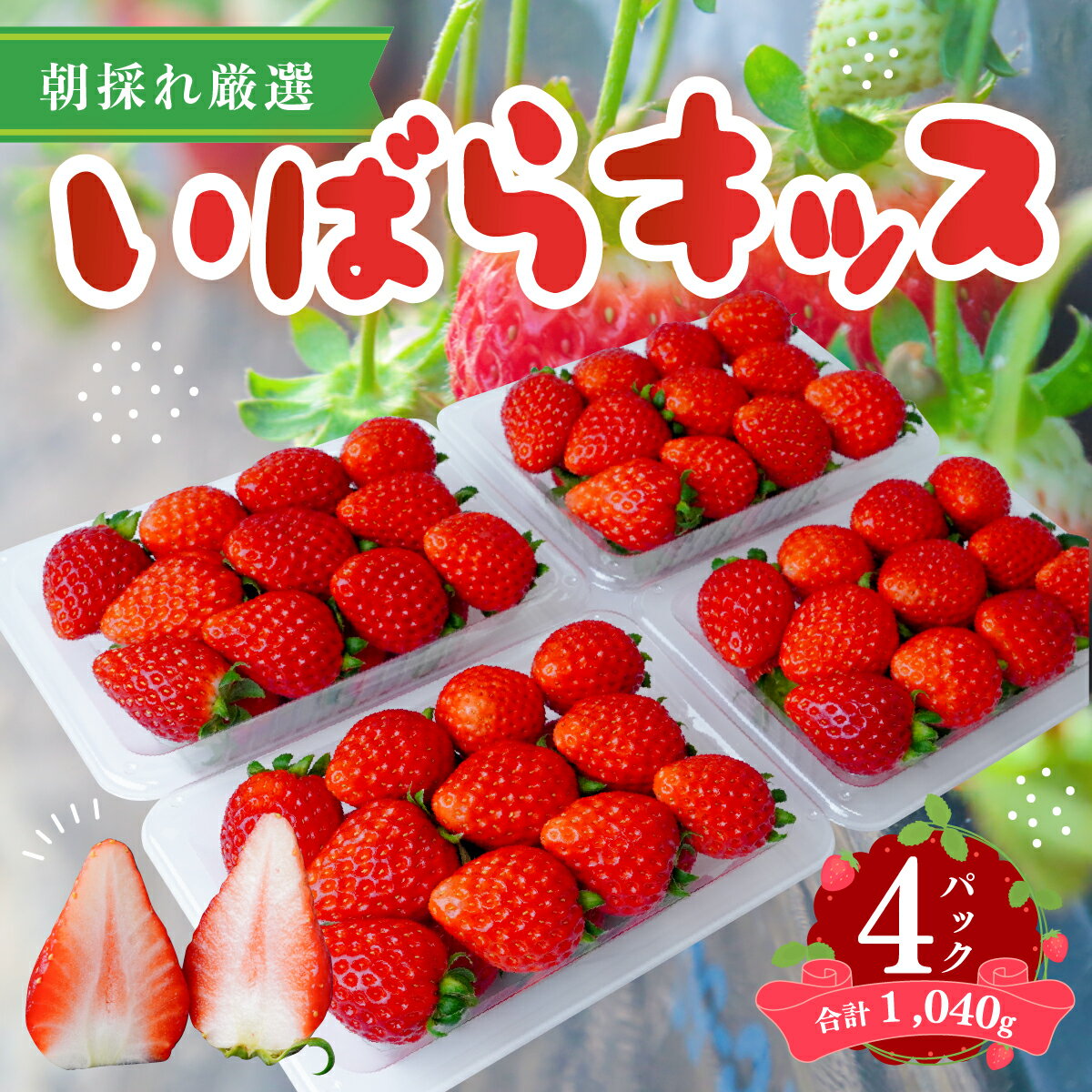 【ふるさと納税】いちご いばらキッス 約260g×4パック | いちご 先行予約 苺 イチゴ いばらキッス ブランド苺 新鮮 朝採れ フルーツ 大きい 果物 デザート 贈り物 人気 高級 ギフト お取り寄せ 完熟 はる農園 茨城県 常陸太田