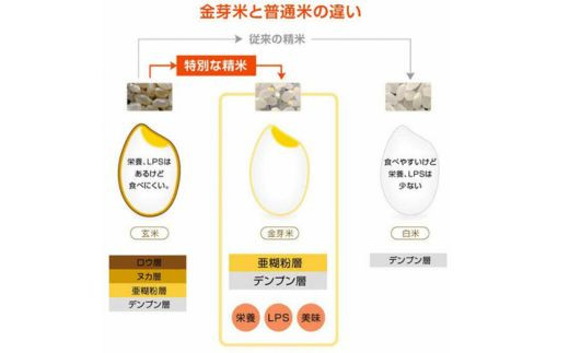 【先行受付】新米 令和7年産 BG無洗米・金芽米にこまる 5kg 計量カップ付き 【先行予約 新米予約 予約 時短 健康 カロリーオフ うまみ 甘み 栄養 おいしい やわらかい ふっくら ビタミン ミ