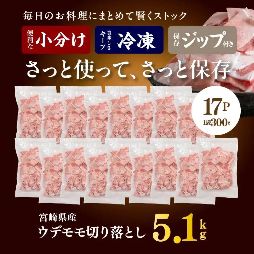 宮崎県産豚切り落とし5.1kg(ジッパー付袋入り)〔18-15-009-5100g〕
