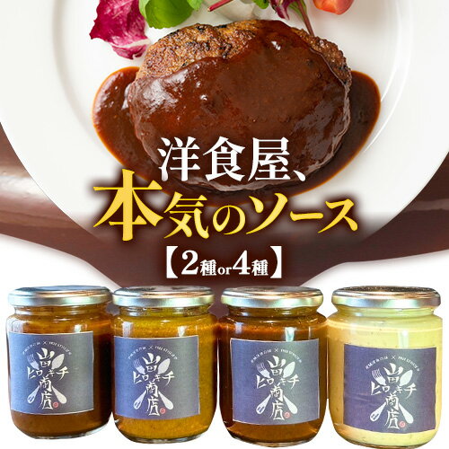 【ふるさと納税】洋食屋、本気のソース 2種 または 4種 山田ヒロキチ商店《30日以内に出荷予定(土日祝除く)》 和歌山県 岩出市 デミグラス 送料無料 ソース デミグラスソース タルタルソース カレールー タルタル バーベキュー カレー ハンバーグ オムライス 洋食